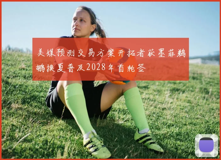 美媒预测交易方案开拓者获墨菲鹈鹕换夏普及2028年首轮签