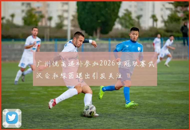 广州悦高递补参加2026中冠联赛武汉合和绿茵退出引发关注