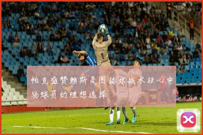 帕克盛赞赖斯是图赫尔战术核心中场球员的理想选择
